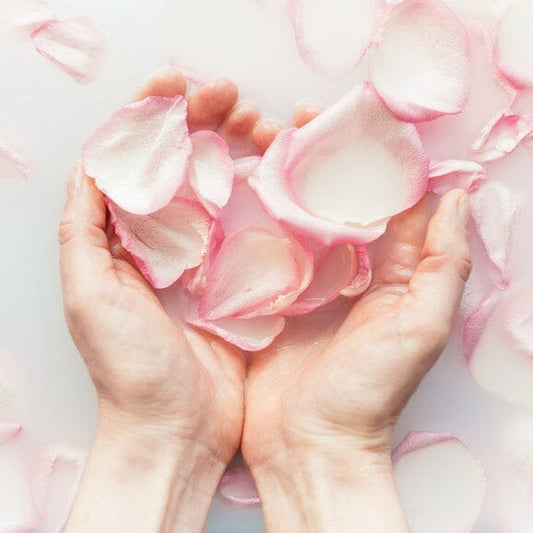 What are Elixirs and How Do You Use Them?