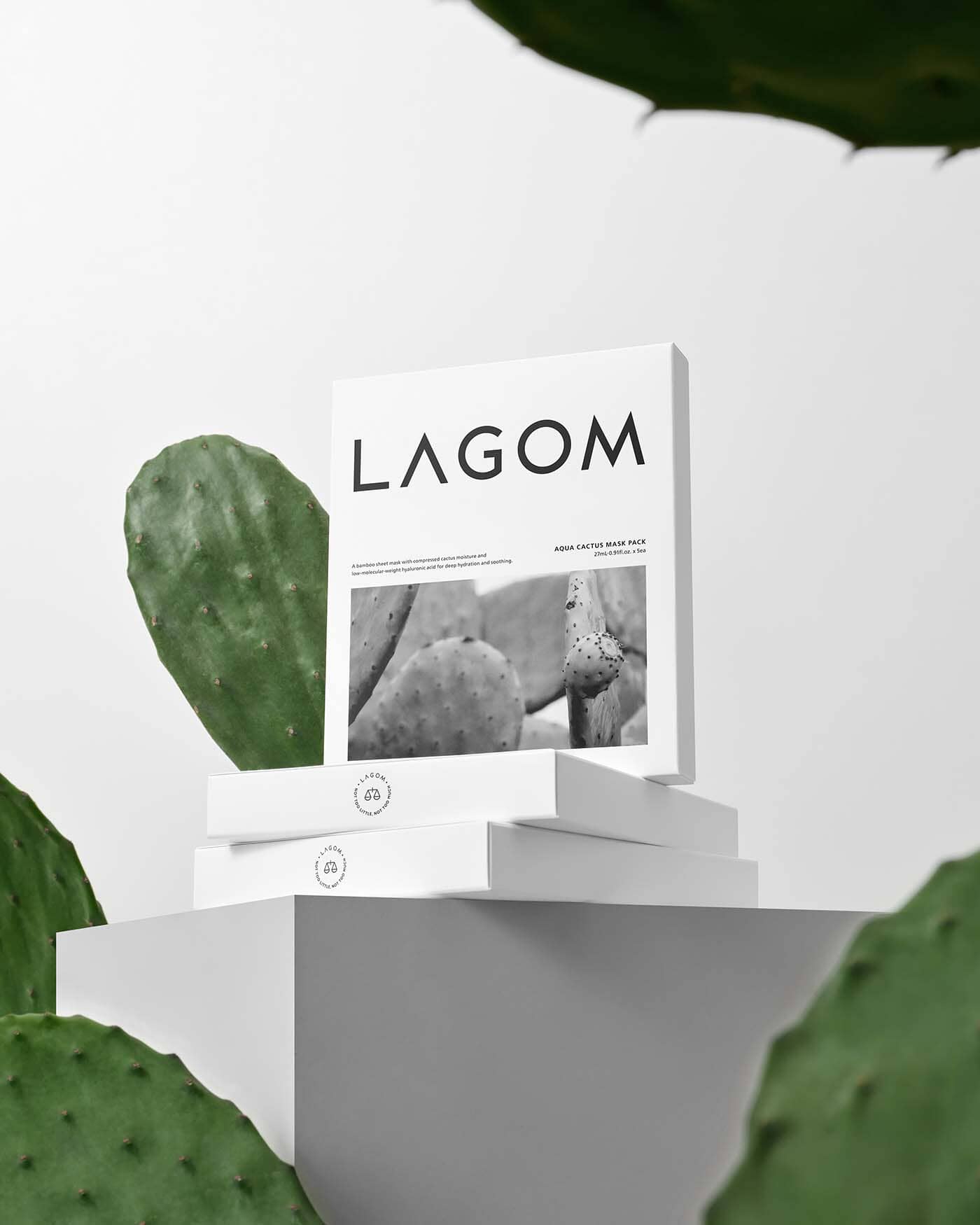 Aqua Cactus Mask Pack (5 Pack) Sheet Mask LAGOM 