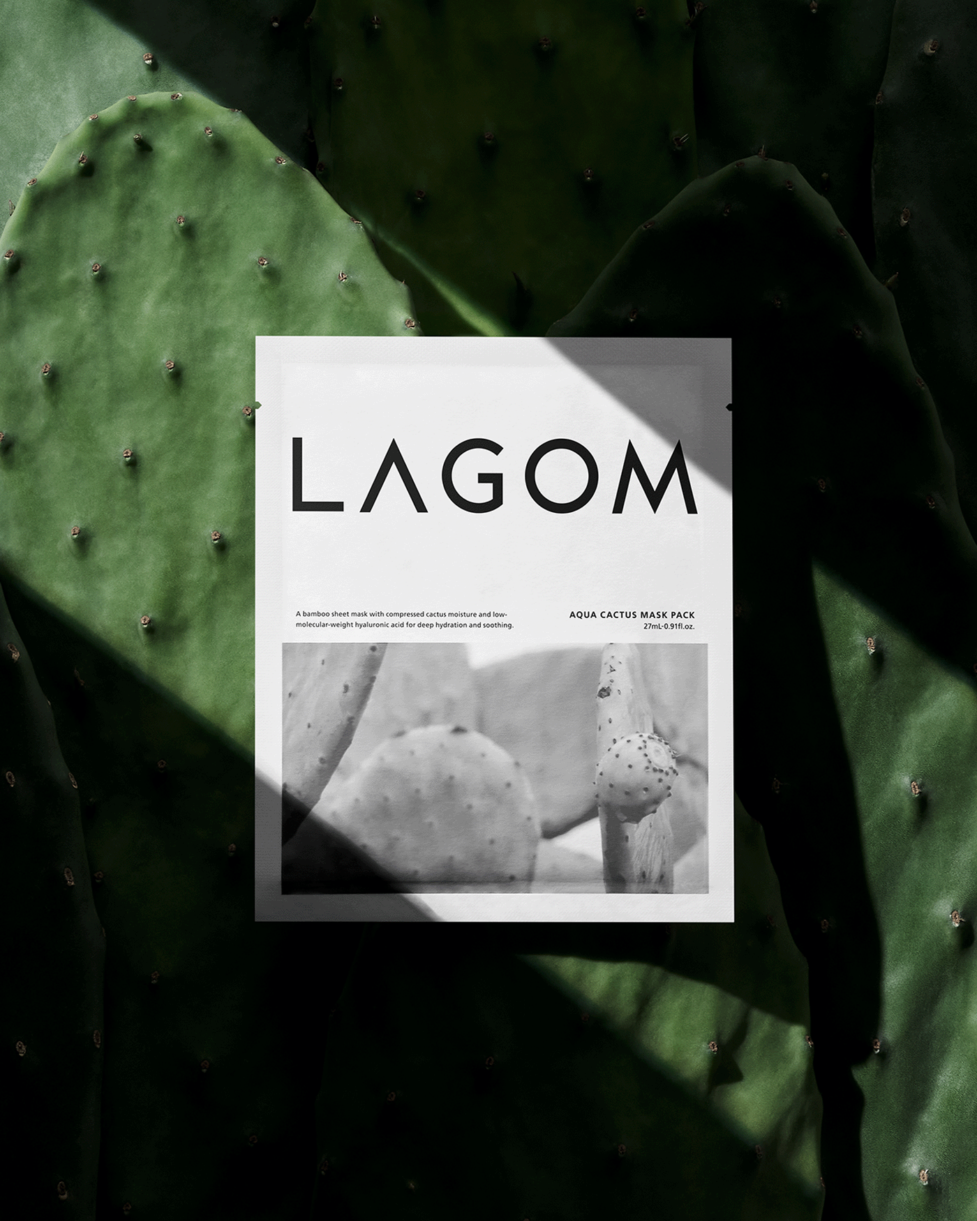 Aqua Cactus Mask Pack (5 Pack) Sheet Mask LAGOM 