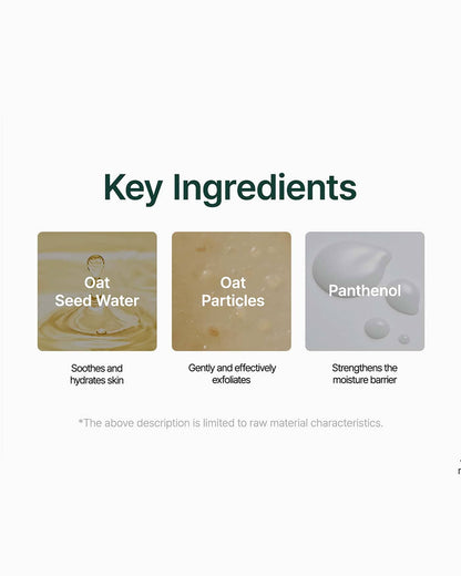 Oat-in Gentle Exfoliating Face Cleanser Water Cleanser Purito Seoul 