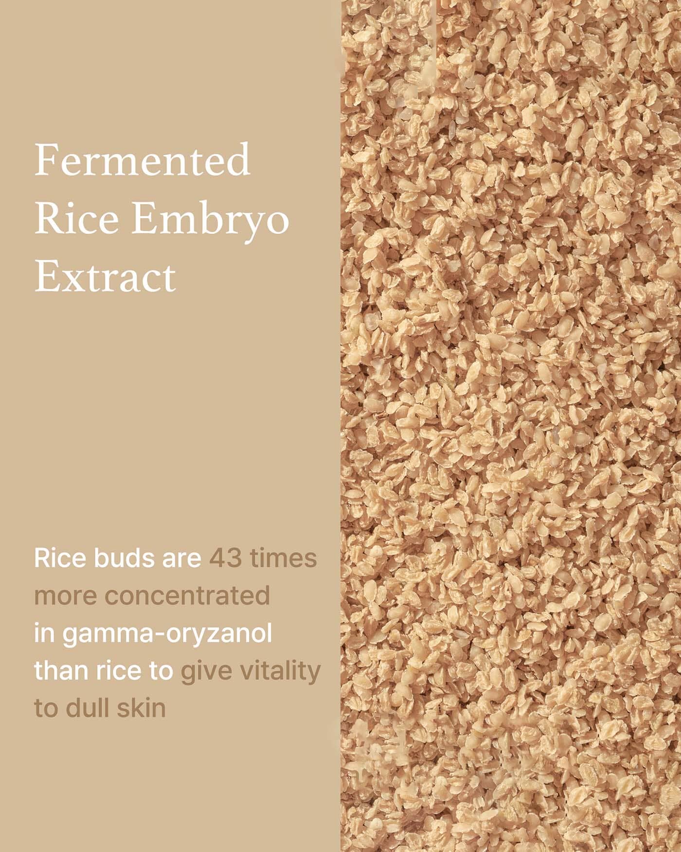 Rice Serum Serum/Ampoule I'M FROM 