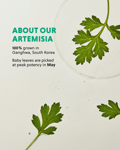 Artemisia Soothing Toner Toner Hanyul 