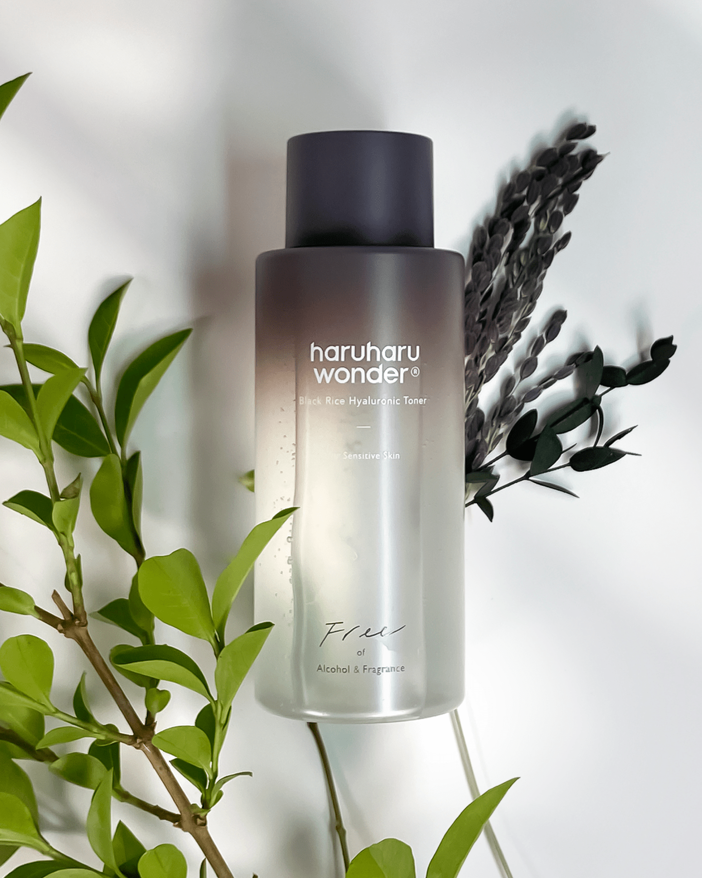 Black Rice Hyaluronic Toner For Sensitive Skin Toner Haruharu Wonder 