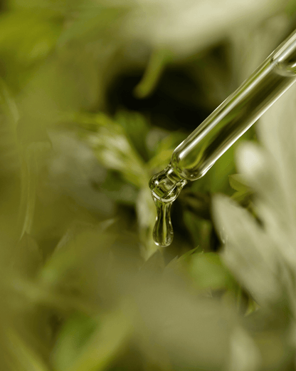 I'm from Mugwort Serum I'M FROM 