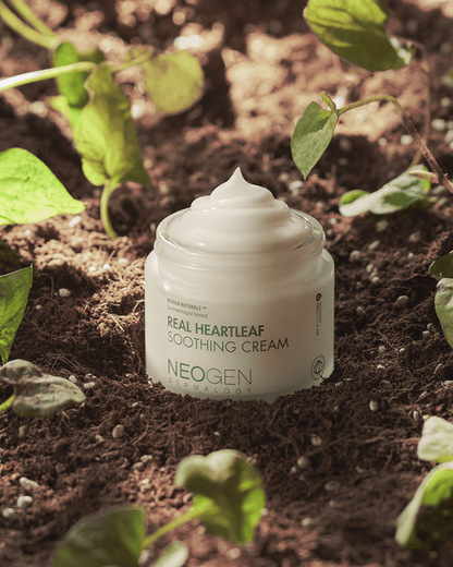 Real Heartleaf Soothing Cream Facial Moisturizer NEOGEN 