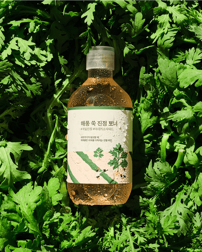 Mugwort Calming Toner Toner ROUND LAB 