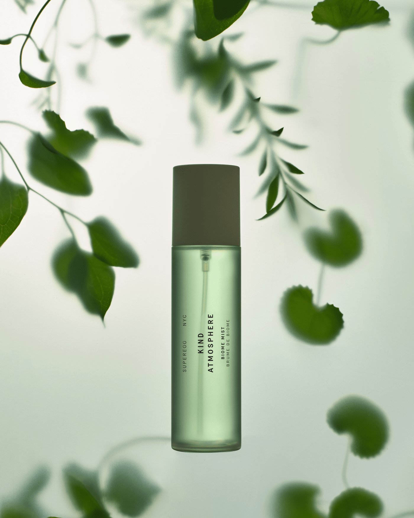 Kind Atmosphere Biome Mist Facial Mist Superegg 