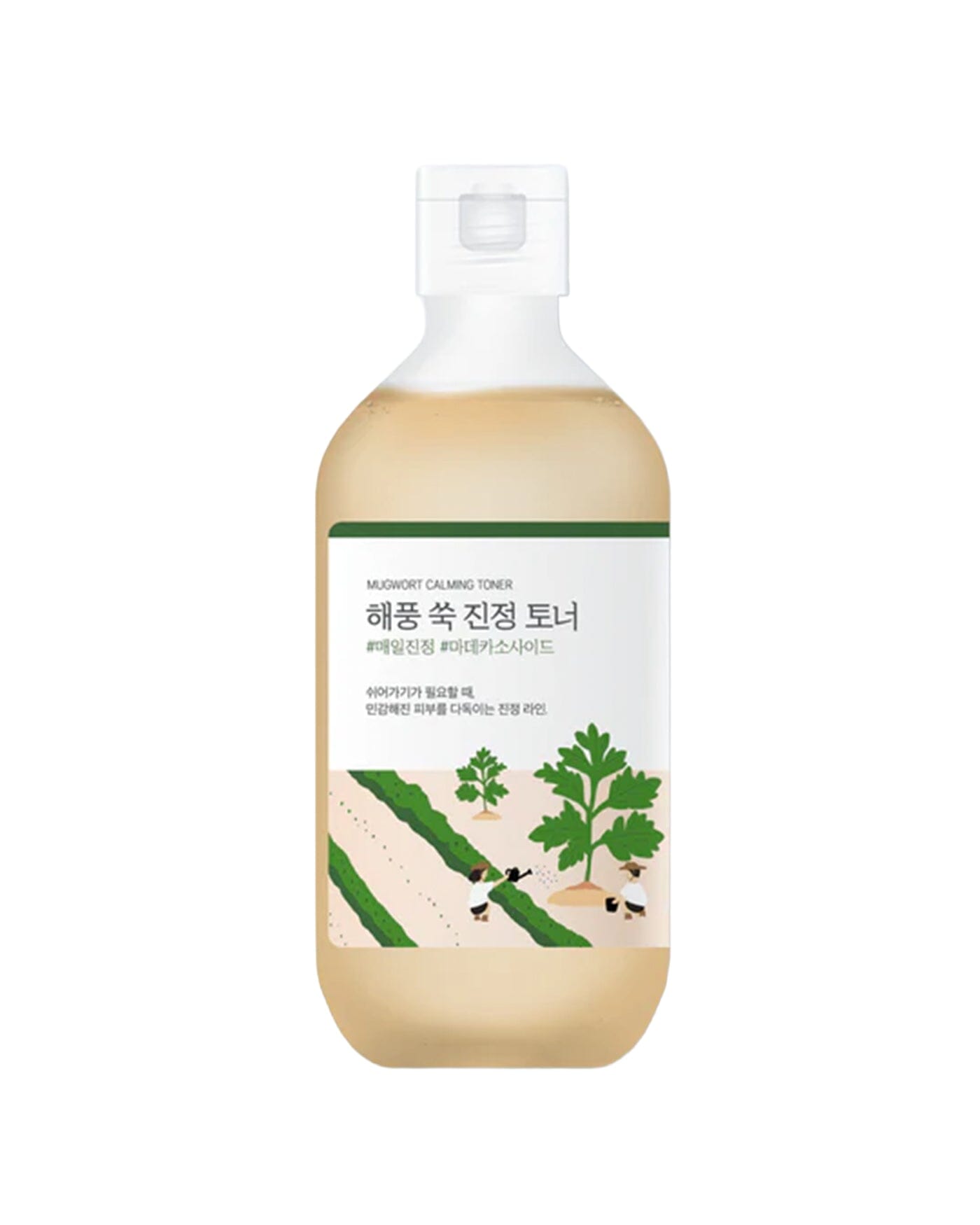 Mugwort Calming Toner Toner ROUND LAB 
