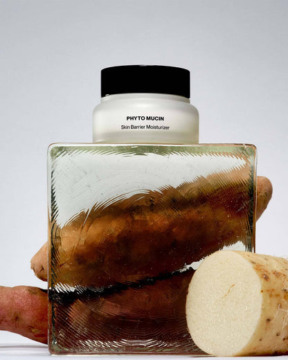 Phyto Mucin Skin Barrier Moisturizer Soko Glam 